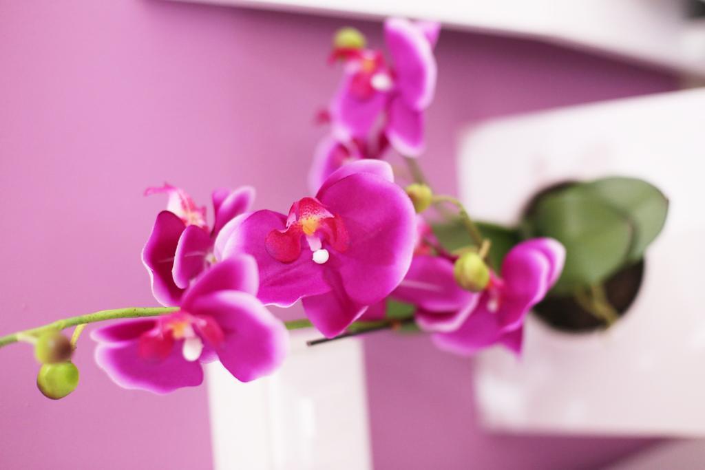 Iris Room Řím Pokoj fotografie