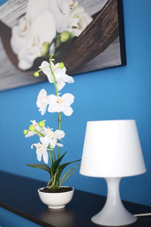 Iris Room Řím Exteriér fotografie